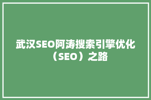 武汉SEO阿涛搜索引擎优化（SEO）之路