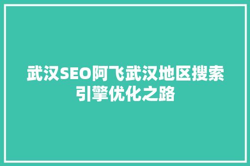 武汉SEO阿飞武汉地区搜索引擎优化之路