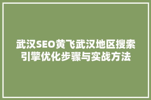 武汉SEO黄飞武汉地区搜索引擎优化步骤与实战方法