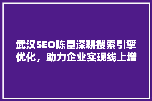 武汉SEO陈臣深耕搜索引擎优化，助力企业实现线上增长