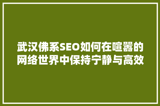 武汉佛系SEO如何在喧嚣的网络世界中保持宁静与高效