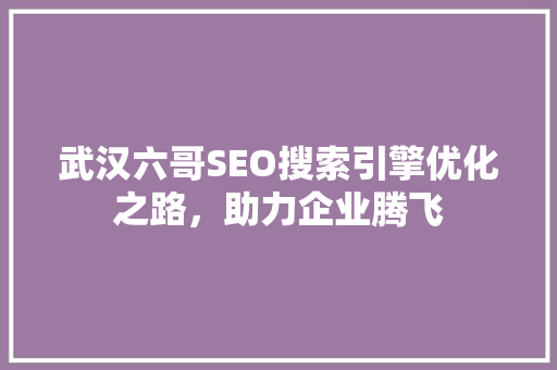 武汉六哥SEO搜索引擎优化之路，助力企业腾飞