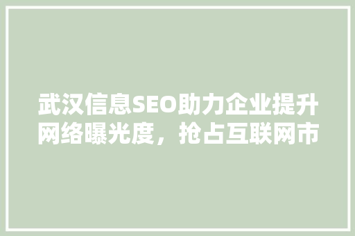 武汉信息SEO助力企业提升网络曝光度，抢占互联网市场先机