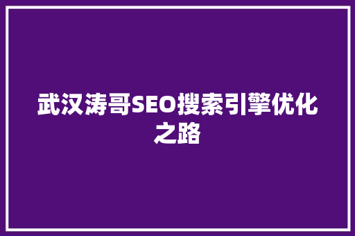 武汉涛哥SEO搜索引擎优化之路