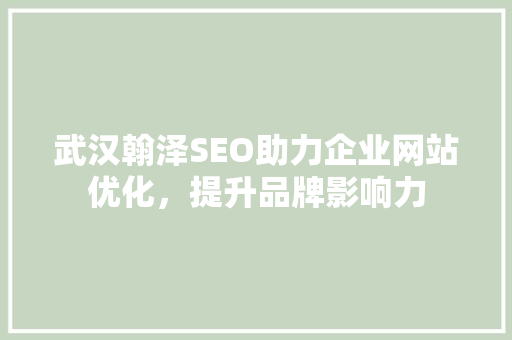 武汉翰泽SEO助力企业网站优化，提升品牌影响力