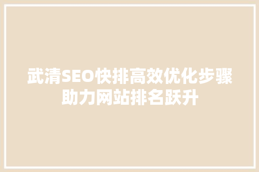 武清SEO快排高效优化步骤助力网站排名跃升