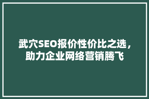 武穴SEO报价性价比之选，助力企业网络营销腾飞