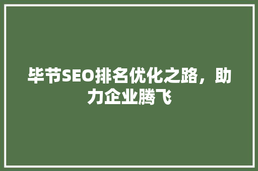 毕节SEO排名优化之路，助力企业腾飞