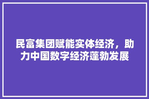 民富集团赋能实体经济，助力中国数字经济蓬勃发展