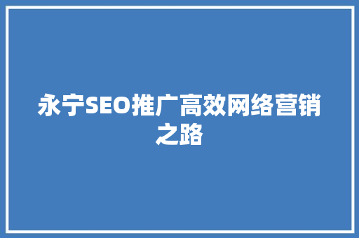 永宁SEO推广高效网络营销之路