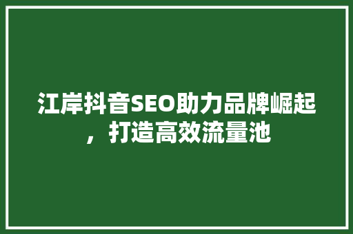 江岸抖音SEO助力品牌崛起，打造高效流量池