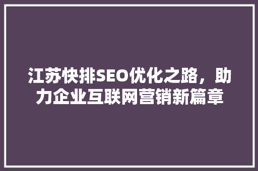 江苏快排SEO优化之路，助力企业互联网营销新篇章