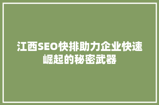 江西SEO快排助力企业快速崛起的秘密武器