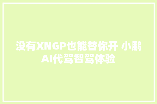 没有XNGP也能替你开 小鹏AI代驾智驾体验