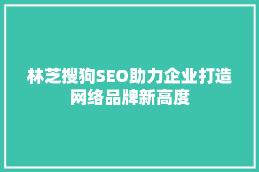 林芝搜狗SEO助力企业打造网络品牌新高度