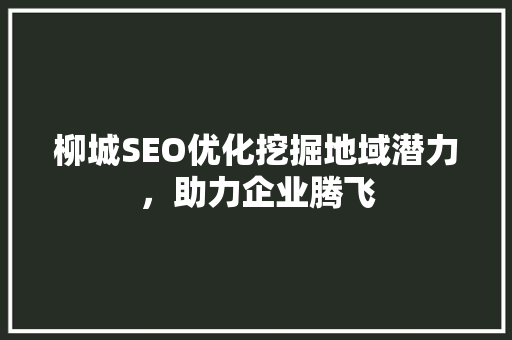 柳城SEO优化挖掘地域潜力，助力企业腾飞