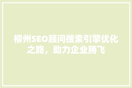 柳州SEO顾问搜索引擎优化之路，助力企业腾飞