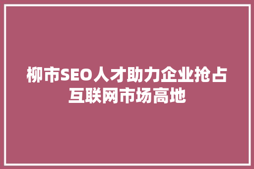 柳市SEO人才助力企业抢占互联网市场高地