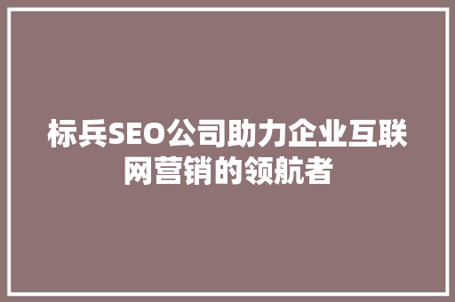 标兵SEO公司助力企业互联网营销的领航者