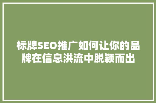 标牌SEO推广如何让你的品牌在信息洪流中脱颖而出