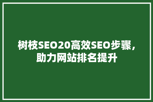 树枝SEO20高效SEO步骤，助力网站排名提升