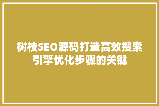 树枝SEO源码打造高效搜索引擎优化步骤的关键