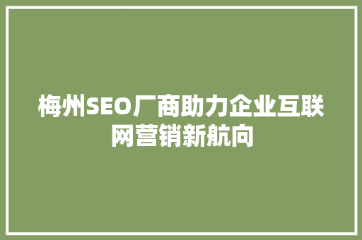 梅州SEO厂商助力企业互联网营销新航向