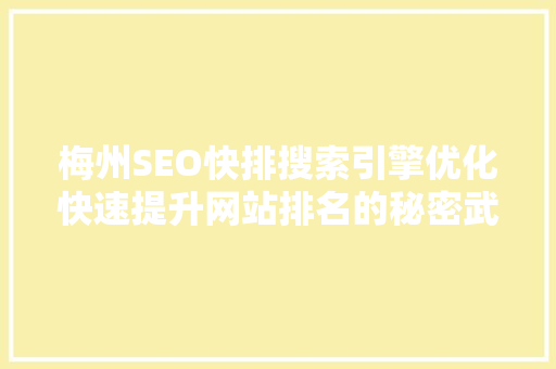 梅州SEO快排搜索引擎优化快速提升网站排名的秘密武器