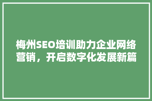 梅州SEO培训助力企业网络营销，开启数字化发展新篇章