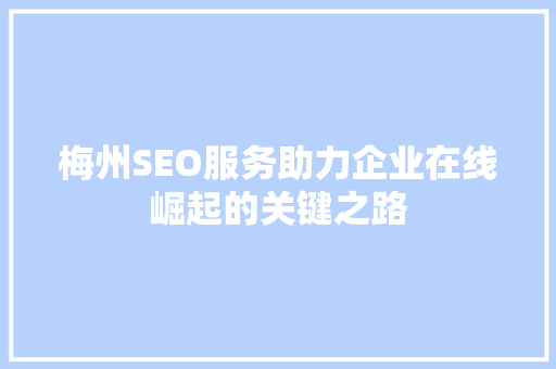 梅州SEO服务助力企业在线崛起的关键之路