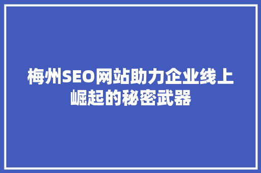 梅州SEO网站助力企业线上崛起的秘密武器