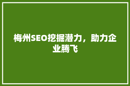 梅州SEO挖掘潜力，助力企业腾飞