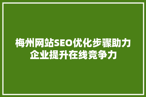 梅州网站SEO优化步骤助力企业提升在线竞争力