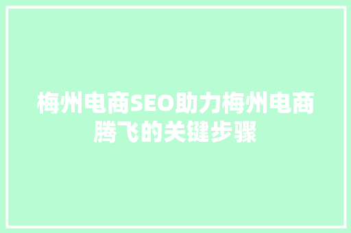 梅州电商SEO助力梅州电商腾飞的关键步骤