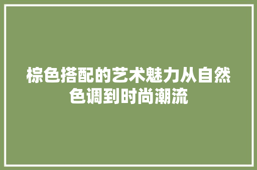 棕色搭配的艺术魅力从自然色调到时尚潮流