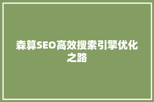 森算SEO高效搜索引擎优化之路