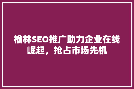 榆林SEO推广助力企业在线崛起，抢占市场先机