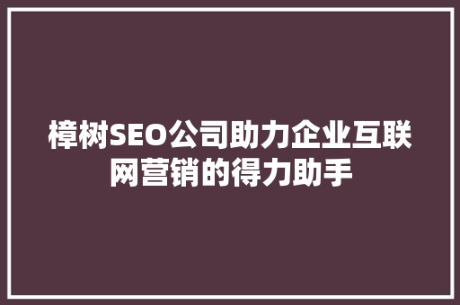 樟树SEO公司助力企业互联网营销的得力助手