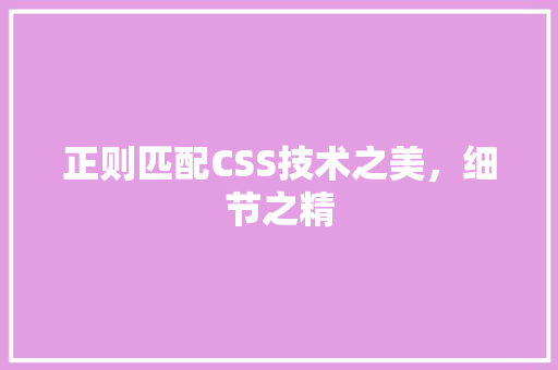 正则匹配CSS技术之美，细节之精