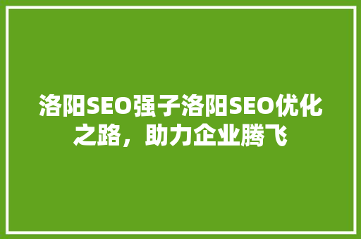 洛阳SEO强子洛阳SEO优化之路，助力企业腾飞