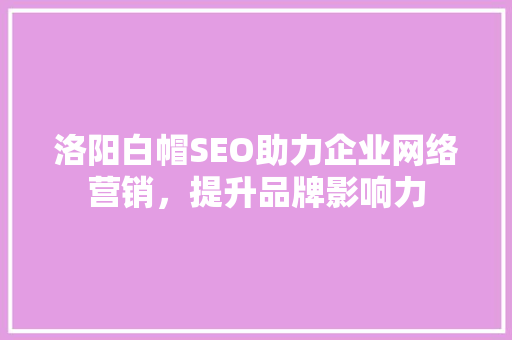 洛阳白帽SEO助力企业网络营销，提升品牌影响力