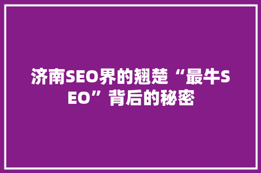 济南SEO界的翘楚“最牛SEO”背后的秘密