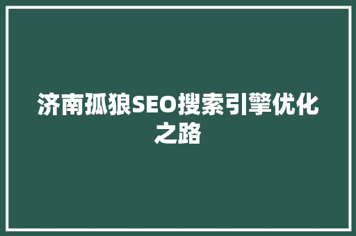 济南孤狼SEO搜索引擎优化之路