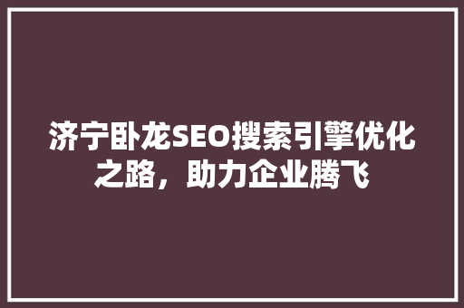 济宁卧龙SEO搜索引擎优化之路，助力企业腾飞