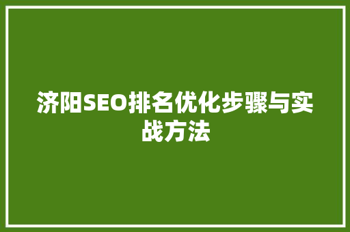 济阳SEO排名优化步骤与实战方法