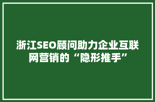 浙江SEO顾问助力企业互联网营销的“隐形推手”