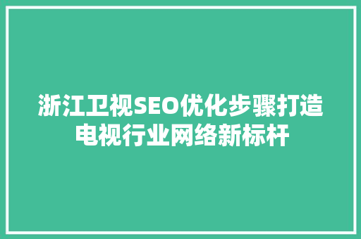 浙江卫视SEO优化步骤打造电视行业网络新标杆