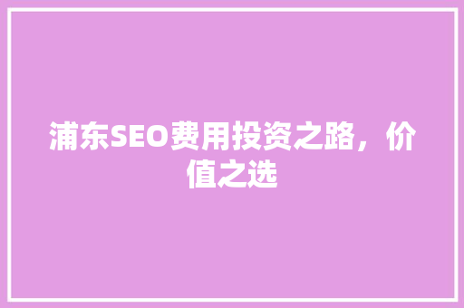 浦东SEO费用投资之路，价值之选