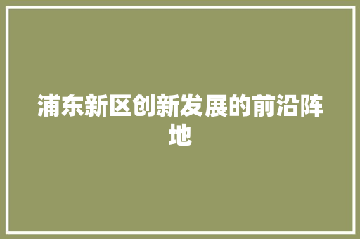 浦东新区创新发展的前沿阵地