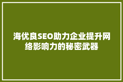 海优良SEO助力企业提升网络影响力的秘密武器